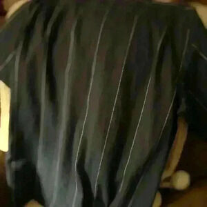 Men’s Haggar short sleeve button down blue with white stripes shirt sz2x (NWT).